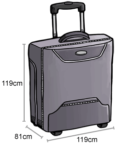 baggage-checked-baggage_3F953B6EF1EA0D52EB2975AEC